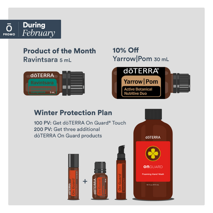 deal of the month feb-2020 deal of the month feb-2020